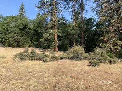 The Land