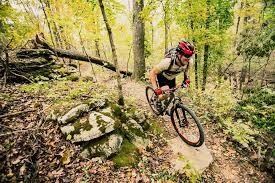 0 Sudbury Ln unit 1202240, Bella Vista, AR 72714 - photo 6