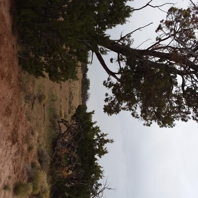 view of 160 ac