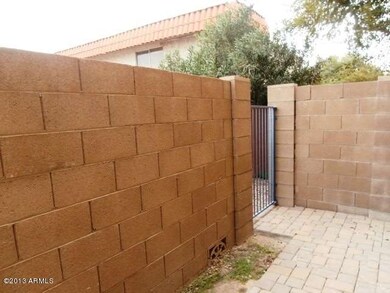 023-313902 - Backyard