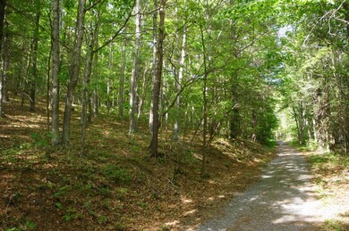 Middle Mountain.4