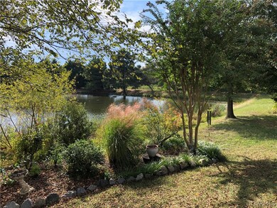 Beautiful pond view from house.