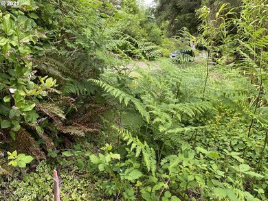 62227 Crown Point Rd, Coos Bay, OR 97420 - photo 3