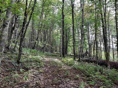 - Cedar Ln, Stewartstown, NH 03597 - photo 3