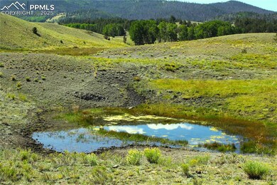 View of mountain backdrop featuring a forest and a nearby body of water