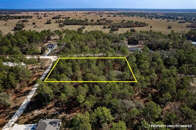 00 SW 75th St, Dunnellon, FL 34431 - photo 5