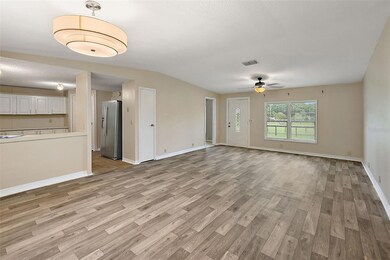 3999 County Road 513, Wildwood, FL 34785 - photo 5