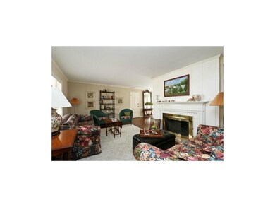 Gas fireplace in living room.
