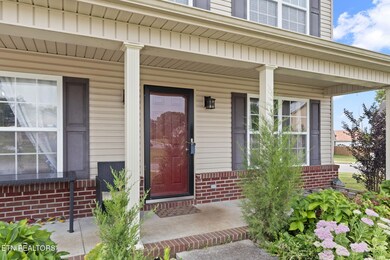 7729 Longshanks Rd, Corryton, TN 37721 - photo 3