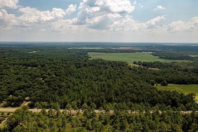 000 Shady Rd, Baconton, GA 31716 - photo 4