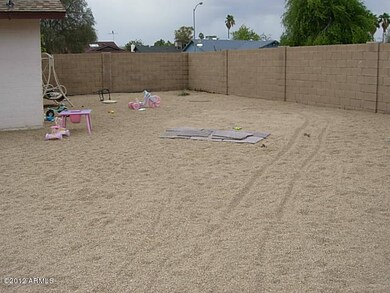 back yard