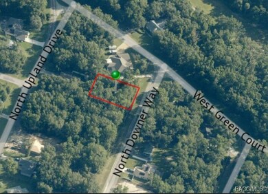 8346 N Downer Way, Citrus Springs, FL 34434 - photo 5