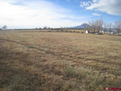 0 Road 22 unit 754119, Cortez, CO 81321 - photo 5