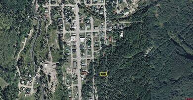 Lots 13 & 14 S Silver St, Rico, CO 81332 - photo 5