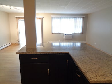 6233 W 94th St unit 1SE, Oak Lawn, IL 60453 - photo 7