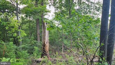 50 Oak Ridge Trail, Carroll Valley, PA 17320 - photo 5