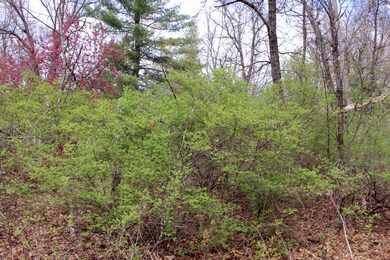 0 0 M-37 unit 21017059, Bitely, MI 49309 - photo 7