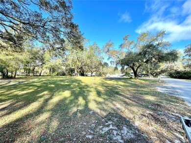 14820 N 15th St, Lutz, FL 33549 - photo 7