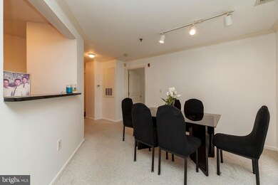 5573 Seminary Rd unit 209, Baileys Crossroads, VA 22041 - photo 4