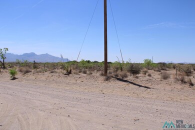 0 Rivera Rd SW unit 20222836, Deming, NM 88030 - photo 7