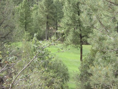 Photo 04