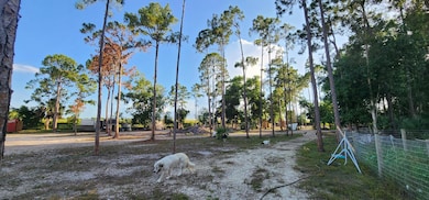 3335 Dellwood Rd, Loxahatchee, FL 33470 - photo 7