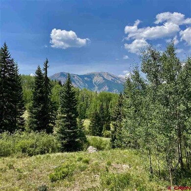 1008 Red Mountain Ranch Upper Loop, Crested Butte, CO 81224 - photo 4