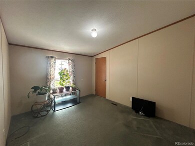 12868 Road 5 S, Alamosa, CO 81101 - photo 7
