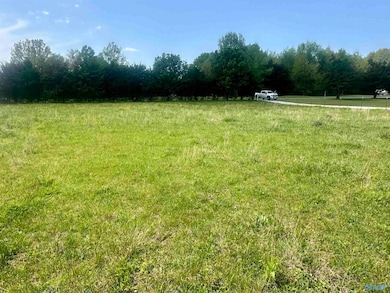 Lot 1 Fielding Rd, Athens, AL 35611 - photo 4