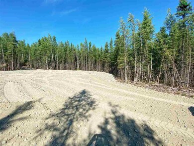 L12 BB Gini's Way, Delta Junction, AK 99737 - photo 3