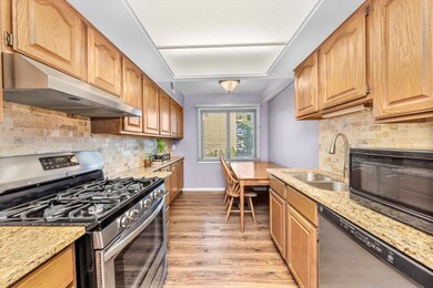 4530 W 93rd St unit 1A, Oak Lawn, IL 60453 - photo 4