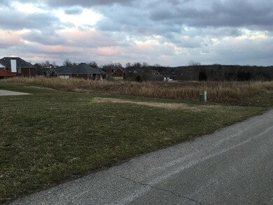 Lot 4 Eagles Bluff Ct, Shepherdsville, KY 40165 - photo 2