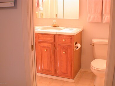 Master Bath View #1