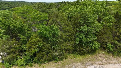 000 State Hwy 86, Eagle Rock, MO 65641 - photo 6