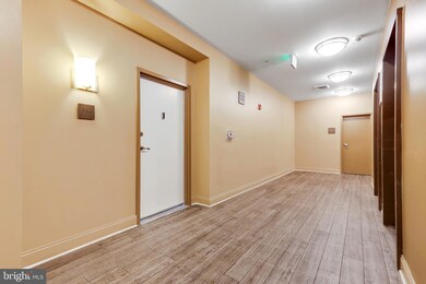 Village Lofts unit 316, Baltimore, MD 21218 - photo 5