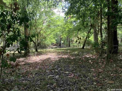 0000 NE 120 Loop, Branford, FL 32008 - photo 6