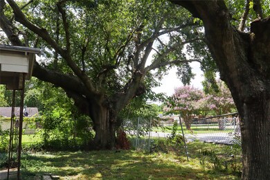 805 Ringold St, Houston, TX 77088 - photo 3