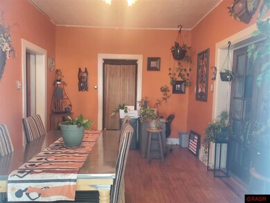 121 3rd Ave NE, Sleepy Eye, MN 56085 - photo 5