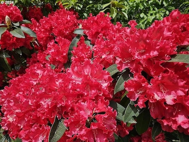 43460 Nicholson Dr, Port Orford, OR 97465 - photo 3