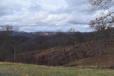 0 Big Springs Rd unit 19372195, Eidson, TN 37731 - photo 3