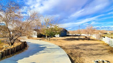 circular driveway