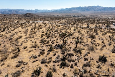 DJI_0453