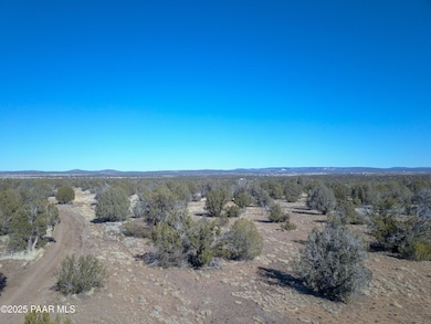 137 Cattle Dr, Ash Fork, AZ 86320 - photo 5