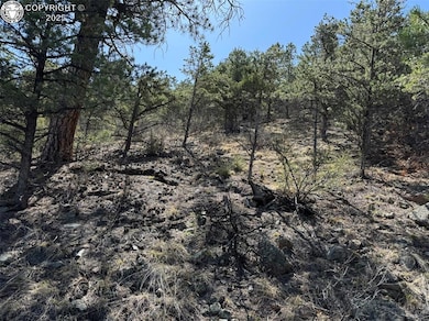 TR-121 19th Trail, Cotopaxi, CO 81223 - photo 4