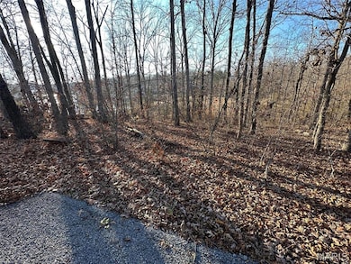 13 Wagon Creek Loop, Creal Springs, IL 62922 - photo 2