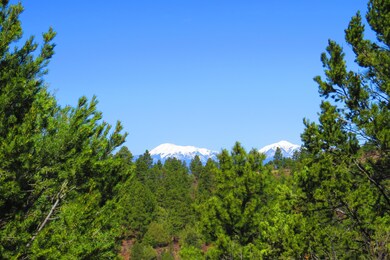 0 Chipmunk Dr unit B46 17-366, Trinidad, CO 81082 - photo 2