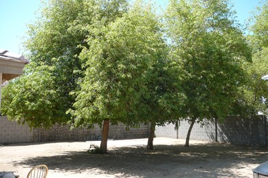 Trees