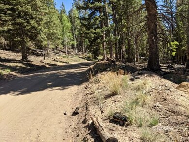 Bonnie Green road access