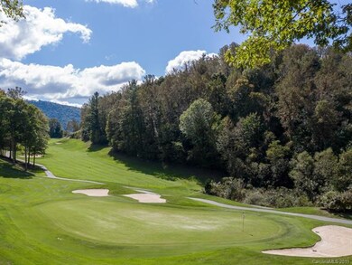 501 Spring House Dr, Burnsville, NC 28714 - photo 7