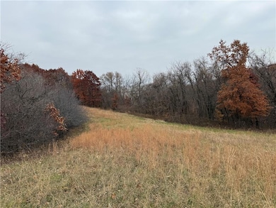 0 Dover Bluff, Waverly, MO 64096 - photo 4